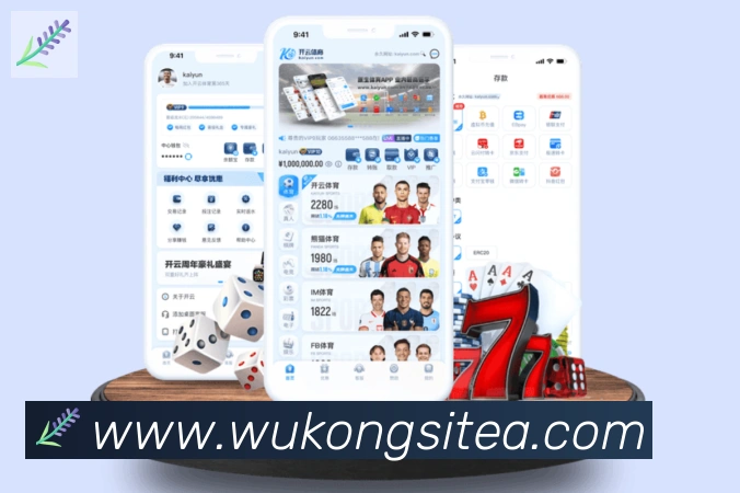 App 展示图